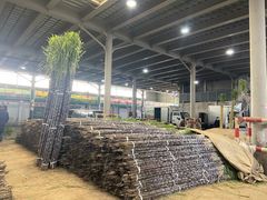 -江杨农产品批发市场