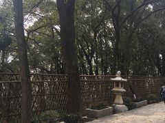 -灵岩山风景区