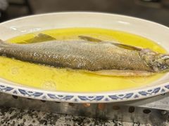 鸡汁白鱼-南京大牌档(崇文门国瑞店)