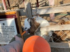 -北京鹿世界主题园