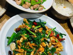 -鸽子窝(青塔店)