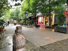 -泡桐树街
