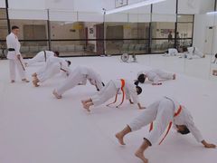 -极真空手道修远道场