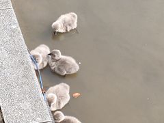 -杭州师范大学(下沙校区)