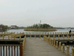 -南汇嘴观海公园