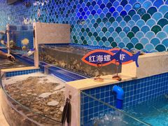 -乔哥铭洋海鲜自助(皇城恒隆广场店)