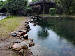 -蔡伦竹海