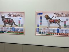 -嘉美宠物医院
