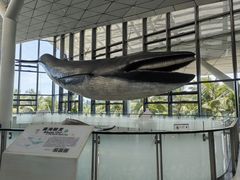 -中国（海南）南海博物馆