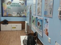 -瑞派·关忠动物医院·异宠专科·犬猫肿瘤·皮肤专科(望京店)