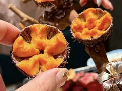 马粪海胆-胆道·海胆专门店(凯德晶萃店)