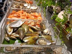 冰鲜海鲜-威珀斯酒店·珀萃美食餐厅 | 海鲜刺身·现烤生蚝·特色烤肉