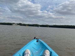 -上海海湾国家森林公园