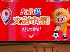 -盛京大奥莱(沈阳奥体店)