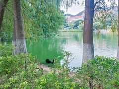 -厦门大学(思明校区)