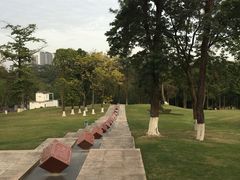 -广西壮族自治区药用植物园