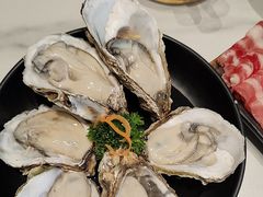 -蚝大仙横琴生蚝火锅(日月贝店)