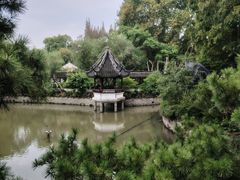 -上海醉白池公园