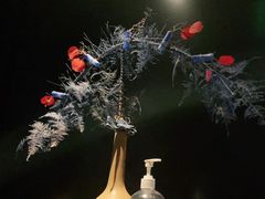 -凤凰湘语(浦东旗舰店)