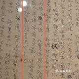 周末遇上坏天气，博物馆里学习去