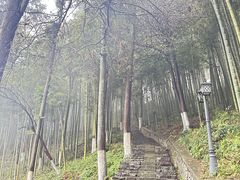 -莫干山风景区