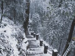 -缙云山景区