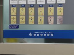 -申普宠物医院·心脏介入·心血管微创(总院)