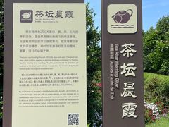 -雁南飞茶田景区