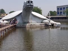 -东方巨龟苑景区