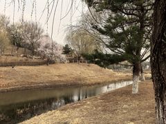 -莫子山公园