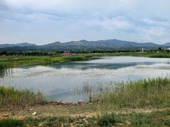 -敕勒川草原