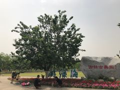 -御林古桑园