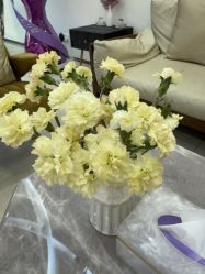 -小珂丽格医疗美容