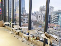 -怪兽屋·羊驼·猫咖·狗咖(俊华广场店)