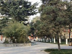 -渭滨公园