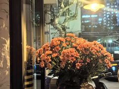 -Apollo·西班牙小酒馆(安福路店)