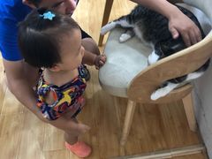 -海边的猫和咖啡馆