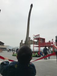 点击看大图 -恐龙探索乐园(磁器口店)