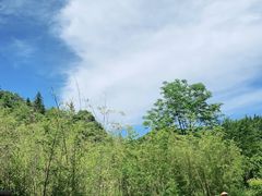 -常德桃花源景区
