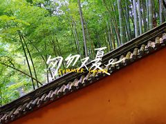 -九华山风景区