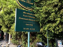 -Fern Forest Cafe