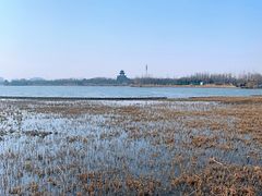 -水西公园