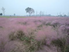 -汉长安城未央宫国家考古遗址公园