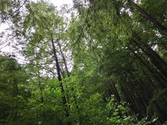 -波尔登森林公园