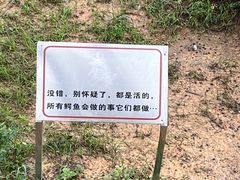 -南宁市动物园