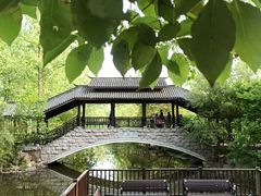 -合肥滨湖国家森林公园