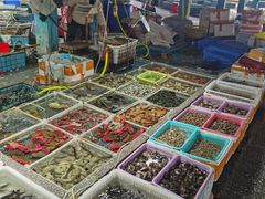 -霞涌市场海鲜摆卖区