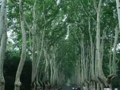 -康熙养生SPA·轻奢足道(江宁万达店)