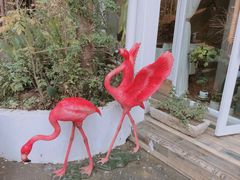 -春树下·树屋花房西餐厅(罍街AS1980店)