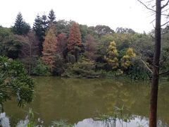 -云溪植物园